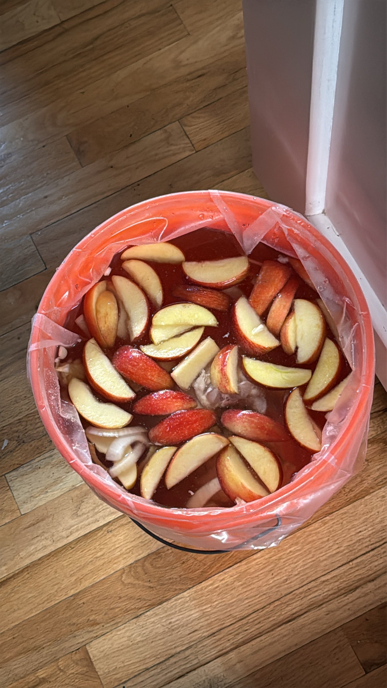 Essential Turkey Kit